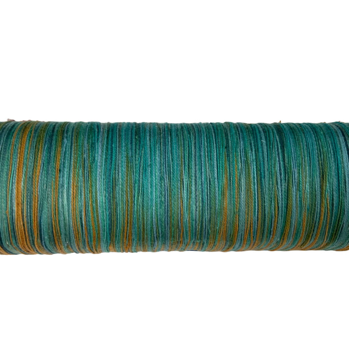 Ocean View From Space Warp